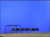 Stock Footage of Tamed Lion running in front of bluescreen doing different actions. start